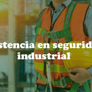 Asistencia en seguridad industrial